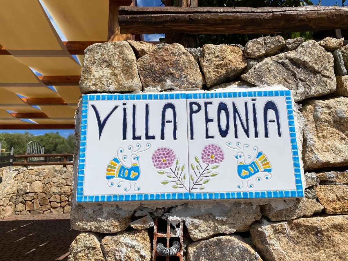 Villa Peonia Budoni Eksteriør billede