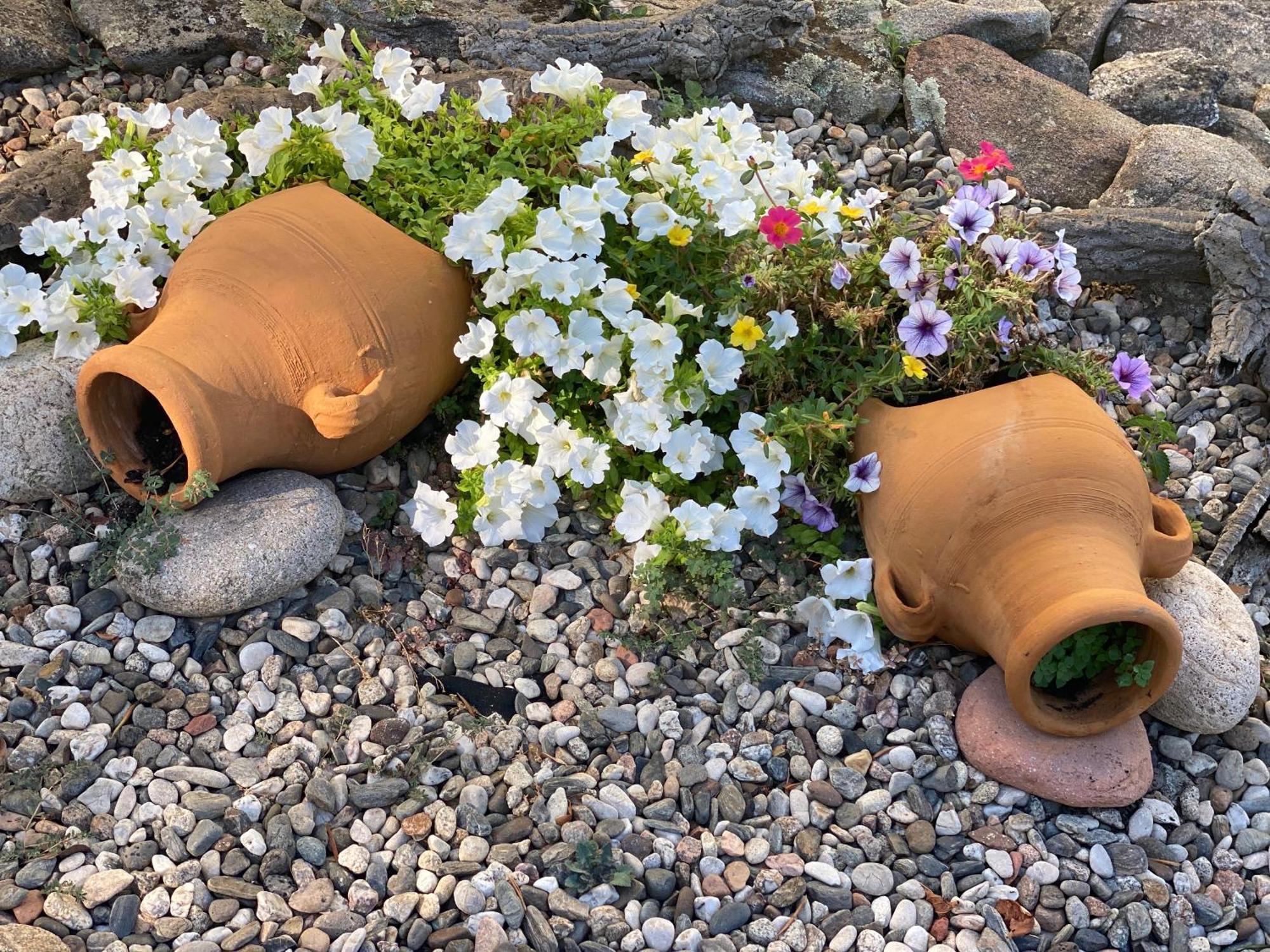 Villa Peonia Budoni Eksteriør billede